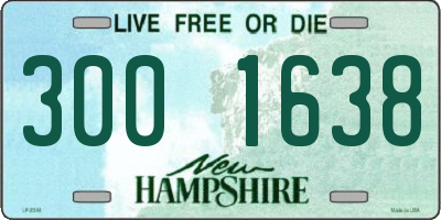 NH license plate 3001638