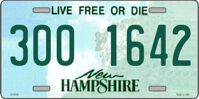 NH license plate 3001642
