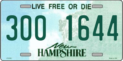NH license plate 3001644