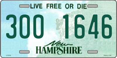 NH license plate 3001646