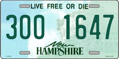 NH license plate 3001647