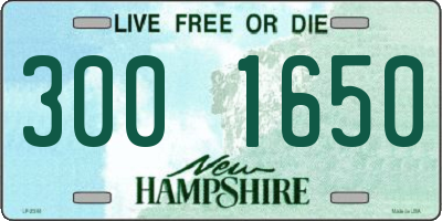 NH license plate 3001650