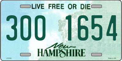 NH license plate 3001654