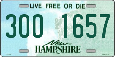 NH license plate 3001657