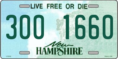 NH license plate 3001660