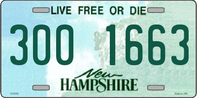 NH license plate 3001663