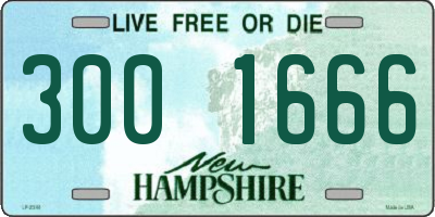 NH license plate 3001666