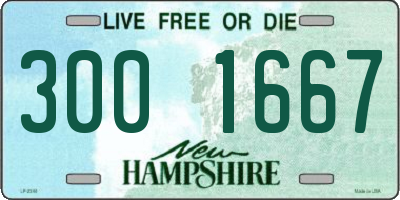 NH license plate 3001667