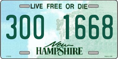 NH license plate 3001668