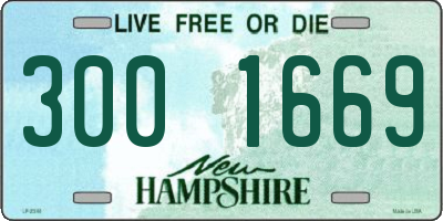 NH license plate 3001669