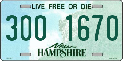 NH license plate 3001670