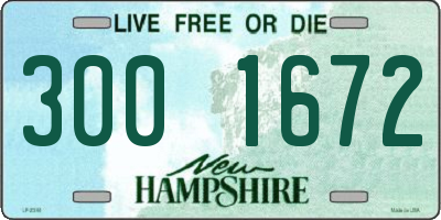 NH license plate 3001672