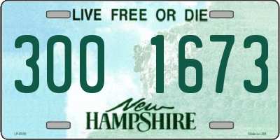 NH license plate 3001673