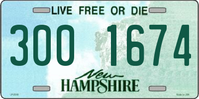 NH license plate 3001674