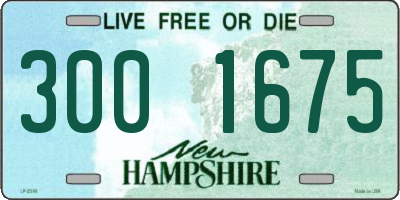 NH license plate 3001675