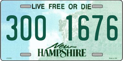 NH license plate 3001676