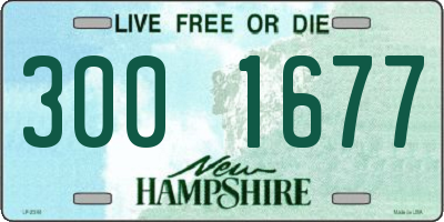 NH license plate 3001677