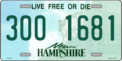 NH license plate 3001681