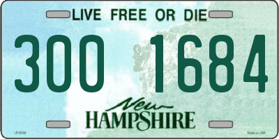 NH license plate 3001684