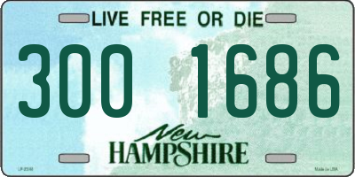 NH license plate 3001686