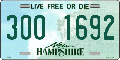 NH license plate 3001692