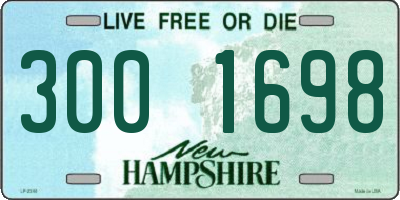 NH license plate 3001698