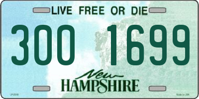 NH license plate 3001699