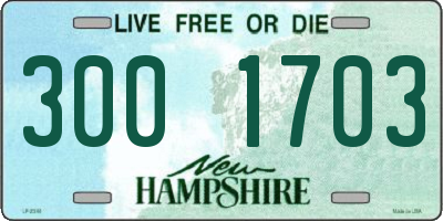 NH license plate 3001703