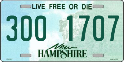 NH license plate 3001707