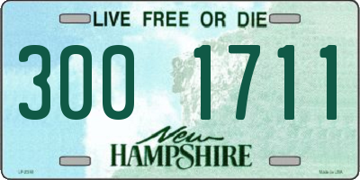 NH license plate 3001711