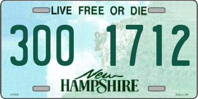 NH license plate 3001712