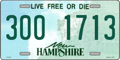 NH license plate 3001713