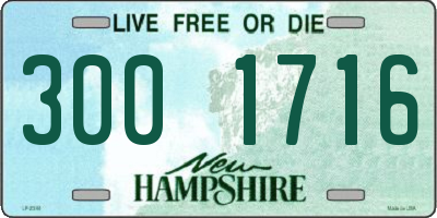 NH license plate 3001716