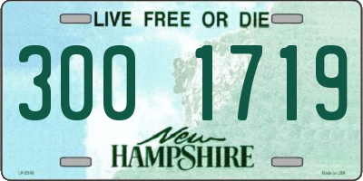 NH license plate 3001719