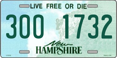 NH license plate 3001732