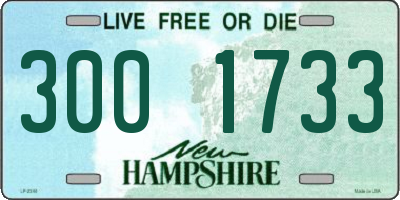 NH license plate 3001733