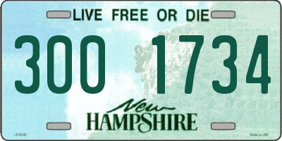 NH license plate 3001734