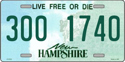 NH license plate 3001740
