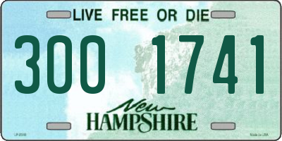 NH license plate 3001741
