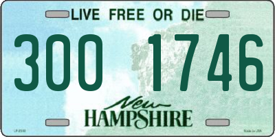 NH license plate 3001746