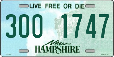 NH license plate 3001747