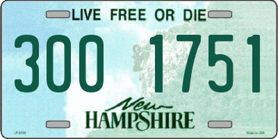 NH license plate 3001751