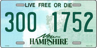 NH license plate 3001752