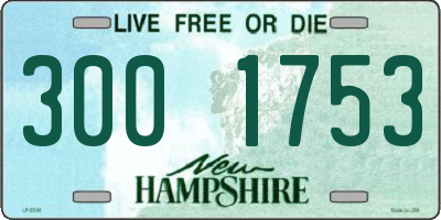 NH license plate 3001753