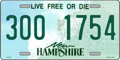 NH license plate 3001754