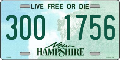 NH license plate 3001756