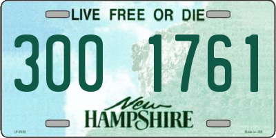 NH license plate 3001761
