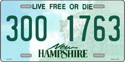 NH license plate 3001763