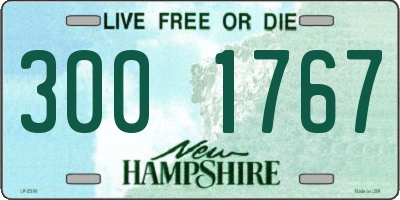 NH license plate 3001767