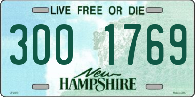 NH license plate 3001769